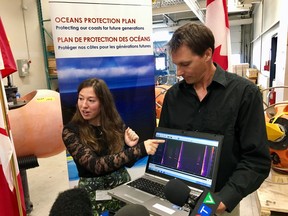 Bedford Institute of Oceanography marine biologist Andrew Wright and Clair Evers, marine mammal biologist, play a right whale sound on a laptop at the Bedford Institute of Oceanography in Halifax, Friday, July 20, 2018.