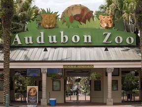 The Audubon Zoo closed after a jaguar escaped from its habitat and killed six animals, according to a release from zoo officials, Saturday, July 14, 2018 in New Orleans.