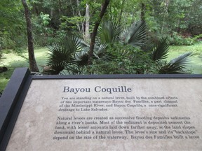 This June 3, 2018 photo shows a sign marking Bayou Coquille on a trail in the Barataria Preserve, part of Jean Lafitte National Historical Park and Preserve in Marrero, Louisiana, just outside of New Orleans. Visitors will find a symphony of frogs, fan-shaped palmettos and strange formations of cypress trees known as knees pushing up through the swamps amid the preserve's woods and wetlands.