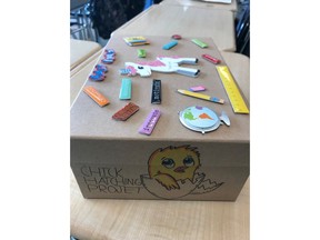 This June 2018 photo provided by Sevgi Unay shows a Teacher Appreciation Box in New York, filled with notes from students, as well as memories and experiences created together, such as the Chick Hatching Project, shown on the front of box. The teacher and students in the chick project had an incubator and hatched chicks. The decorated box of memories was a thank you to the teacher.