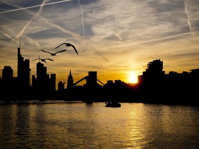 Birds fly over the river Main as the sun sets in Frankfurt, Germany, Saturday, July 7, 2018.