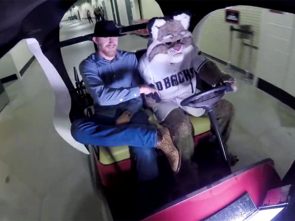 What Is the Diamondbacks Mascot? A Dive into the World of Baxter the Bobcat