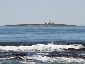 Machias Seal Island is seen on Friday, June 24, 2016.