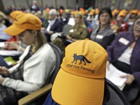 FILE - In this Jan. 31, 2013, file photo, opponents of fox penning wear orange hats as they wait for a meeting of the Senate Agriculture, Conservation and Natural Resources Committee at the Capitol in Richmond, Va. The Virginia Attorney General's office says a two-year investigation has led to the closure of six fox pens, enclosures in which wild foxes are contained to be hunted by dogs.