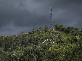 In this July 12, 2018 photo, ladders from the Puerto Rico Power Authority stand amid the trees as workers restore power that was lost due to Hurricane Irma and Maria in Adjuntas, Puerto Rico. Lights are slowly coming on for the more than 1,000 homes and businesses across the island that remain without power in hard-to-reach areas.