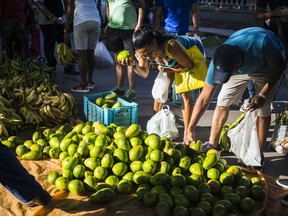 People shop at an outdoor food market in Havana, Cuba, Saturday, July 21, 2018. Cuba's national assembly meet Saturday, July 21, 2018, to consider a proposed reform of its 1976 constitution that would reshape its government, courts and economy.