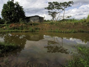 FILE - In this Aug. 4, 2008, file photo, oil floats on the water near a home in Lago Agrio, Ecuador. Late Tuesday, July 10, 2018, Ecuador's highest court upheld a $9.5 billion judgment against oil giant Chevron for decades of rainforest damage that harmed indigenous people.