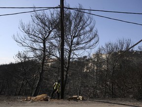 A worker digs under a damaged electricity pole following a wildfire in Neos Voutzas, east of Athens, Friday, July 27, 2018. Greek authorities said Thursday there were serious indications that a deadly wildfire that gutted a vacation resort near Athens was started deliberately, while experts warned that the devastated coastal town had been built like a "fire trap," with poor safety standards and few escape routes.