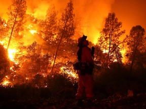 A firefighter monitors a back fire while battling the Medocino Complex fire on August 7, 2018 near Lodoga, California.