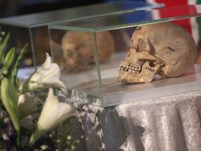 Namibian skulls from the German Empire's murderous campaign in 1904-1908 which saw the colonizers killed an estimated 60,000 Ovaherero and 10,000 Nama people after they rose up against colonial rule, considered the first genocide of the 20th century, are seen during a repatriation ceremony at the Franzoesische Friedrichstadtkirche (French Cathedral) on Gendarmenmarkt on August 29, 2018 in Berlin, Germany.