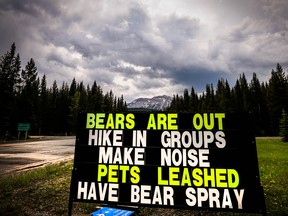 Bear warning sign in Kananaskis on the Smith-Dorrien/Spray Trail (Hwy 742) on Thursday, June 21, 2018.