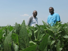 In this Wednesday, June 25, 2018 photo, David Allen Hall, left, and Tyrone Grayer pose for a photo in their soybean field, in Parchman, Miss. Hall and Grayer are farmers who are suing a seed company, alleging they were sold faulty soybean seeds because of their race. The company denies the allegations.