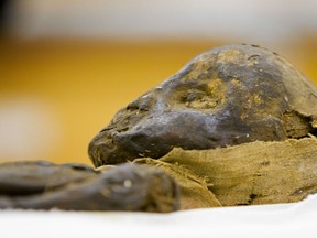 A 2000 year mummified Egyptian baby in a behind the scenes view in the Royal Ontario Museum Toronto in Toronto on Monday January 10, 2011. This was featured in the History Television Show Museum Secrets. The show features the collections in various museums that are not open to the public.