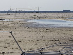 This July 10, 2018, photo provided by Birmingham Audubon shows beach volleyball equipment left on Sand Island, Ala. Wildlife officials say beach volleyball players on the small island off Alabama probably killed hundreds of unhatched birds, moving eggs to make room for their playing court and scaring adult birds from nests.