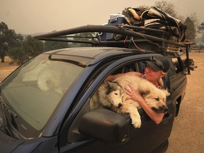 Crystal Easter, of Spring Valley, comforts her dogs, Monday, Aug. 6, 2018, in Spring Valley, Calif., as they flee a wildfire. This is the second time this year Easter has had to evacuate.