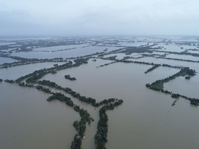 An aerial view of flooded Kuttanad in Alappuzha district, in the southern state of Kerala, India, Sunday, Aug.19, 2018. Over 300 people have died and 300,000 are displaced in the worst flooding in a century.