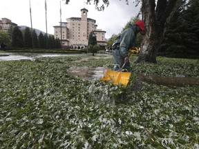 The Broadmoor Hotel employee Carlton Burton shovels leaves and hail after a storm Monday, Aug. 6, 2018, damaged trees, vehicles and buildings in the Colorado Springs, Colo., area. (Jerilee Bennett/The Gazette via AP)