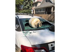 A propane tank smashes a window of a peace officer's vehicle in this undated police handout photo.