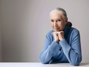 Famed conversationist Jane Goodall will be among the special guests at this year's Vancouver International Film Festival. British primatologist, ethologist, and anthropologist Jane Goodall poses for a portrait to promote the Disneynature film, "Born in China," in New York on April 7, 2017.
