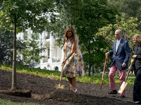 From left, First lady Melania Trump, accompanied by President James Monroe's fifth generation grandson Richard Emory Gatchell, Jr., and President Dwight Eisenhower's granddaughter Mary Jean Eisenhower, participate in a presidential tree planting ceremony on the South Lawn of the White House, Monday, Aug. 27, 2018, in Washington. The sapling was grown from the Eisenhower Oak and replaces a tree which blew down during a windstorm earlier this year. Additionally, this year marks the 200th anniversary of President Monroe's family moving back into the White House after the British set fire to it during the War of 1812.