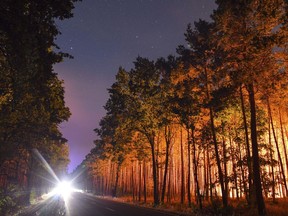 A forest is light by wildfires near the village Klausdorf, about 85 kilometers (53 miles) south of Berlin on Friday, Aug. 24, 2018.