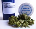 As recreational cannabis becomes legal, the role of the medical cannabis program is still important for patients seeking guidance and education for the treatment of their specific conditions.