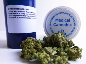 As recreational cannabis becomes legal, the role of the medical cannabis program is still important for patients seeking guidance and education for the treatment of their specific conditions.