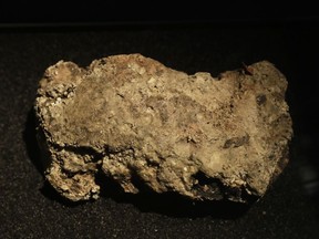 FILE - In this Thursday, Feb. 8, 2018 file photo, the only remaining piece of the 130 ton, 250 meter long fatberg, removed from the sewers in the Whitechapel area of east London in the latter months of 2017, is displayed during a media preview at the Museum of London in London. London's famous, festering fatberg lives on - and is getting its own livestream. The Museum of London said on Tuesday, Aug. 14 a chunk of oil, fat, diapers and baby wipes blasted out of a city sewer last year is now part of its permanent collection. The museum says the "highly toxic" lump will be stored in a secure case and displayed online via a "fatcam" so that viewers can watch its changes.