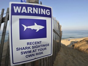 A sign warns visitors to Long Nook Beach of recent shark sightings, Wednesday, Aug. 15, 2018 in Truro, Mass.  A man swimming off Cape Cod was attacked by a shark on Wednesday and was airlifted to a hospital. It was the first shark attack on a human on the popular summer tourist destination since 2012.