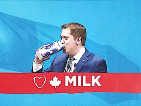Detail from a Dairy Farmers of Canada briefing binder. This image of Conservative leader Andrew Scheer was in a section discussing the group's social media plan.