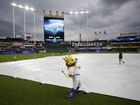 Kansas City Royals mascot Sluggerrr stands on the field as the grounds crew covers the infield with a tarp as a storm gathers near Kauffman Stadium before the Royals' baseball game against the Toronto Blue Jays in Kansas City, Mo., Thursday, Aug. 16, 2018.