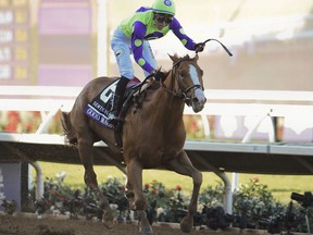 FILE - In this Nov. 4, 2017 file photo, Jose Ortiz rides Good Magic to victory in the Sentient Jet Juvenile horse race during the Breeders' Cup, in Del Mar, Calif. Trainer Chad Brown is in great position to win his first Travers Stakes when he sends out favored Good Magic and the second choice, Gronkowski, in the $1.25 million Midsummer Derby at Saratoga Race Course on Saturday.