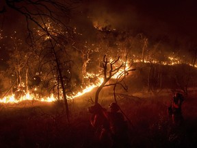 FILE - In this Saturday, July 8, 2017, file photo, inmate firefighters battle a wildfire near Oroville, Calif. Some 14,000 firefighters are battling 18 major blazes burning hundreds of square miles throughout California with aircraft, assorted vehicles and picks and shovels.