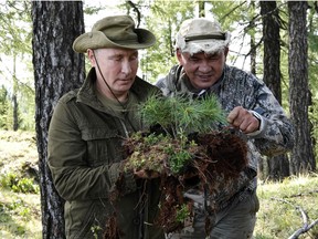 A picture taken on August 26, 2018, shows Russian President Vladimir Putin (L) and Russian Defense Minister Sergei Shoigu (R) looking at vegetation during a short vacation in the remote Tuva region in southern Siberia.