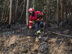 A firefighter jumps off a small mound while working on a fire near the village of Monchique, in southern Portugal's Algarve region, Monday, Aug. 6, 2018. Emergency services in Portugal say they are still fighting a major wildfire on the south coast that threatened to engulf a hillside town overnight.