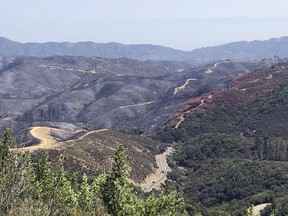 This photo taken Friday, Aug. 10, 2018 near Lakeport, Calif. shows dirt paths created by bulldozers in an effort to contain part of the largest wildfire on record in California.  Firefighters are battling the largest wildfire on record in California, while foresters and other experts are working to repair the damage. Crews are smoothing out dirt roads and replacing fences to mitigate the damage caused not by flames but by the firefighters racing to extinguish them. They seek to restore private lands, protect the environment and water supply, and prevent erosion.