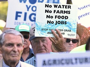 California farmers rally at the Capitol to protest a proposal by state water officials to increase water flows for the lower San Joaquin River to protect fish, at the Capitol, Monday, Aug. 20, 2018, in Sacramento, Calif. The State Water Resources Control Board is holding hearings this week concerning a plan to allow more water to flow freely down the Sacramento-San Joaquin River Delta from February to June, meaning less water will be available for farming and other needs.