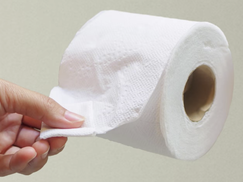 Why there is only one correct way to hang toilet paper Edmonton Journal