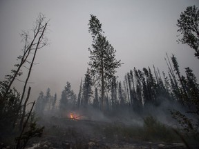 Smoke rises from an area burned by the Shovel Lake wildfire near Endako, B.C., late Thursday, August 16, 2018. The Shovel Lake wildfire is more than 680 square kilometres in size and is the largest of the more than 500 fires burning across the province.