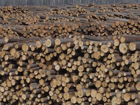 Softwood lumber is pictured at Tolko Industries in Heffley Creek, B.C., on April, 1, 2018.
