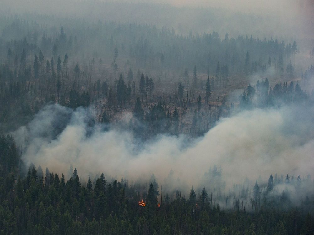 British Columbia Wildfire Season Ranked Second Worst In Provinces History National Post