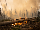 A wildfire burns on a logging road approximately 20 km southwest of Fort St. James, B.C., on Aug. 15, 2018. 
