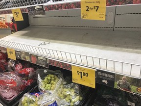 In this Sept. 14, 2018, photo, empty shelves, normally stocked with strawberry punnets, are seen at a Coles Supermarket in Brisbane.