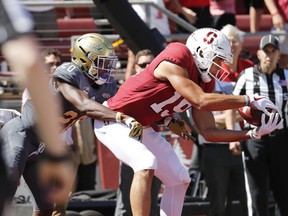 Stanford wide receiver JJ Arcega-Whiteside (19) catches a touchdown pass over UC Davis defensive back Vincent White (20) in the first half in an NCAA college football game in Stanford, Calif., Saturday, Sept. 15, 2018.
