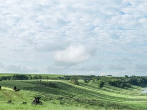 The University of Calgary has lassoed a $44 million ranch for it veterinary education program.The cattle operation west of the city, shown in a handout photo, is being donated as a gift by Jack Anderson and his daughter Wynne Chisholm.THE CANADIAN PRESS/HO-University of Calgary MANDATORY CREDIT