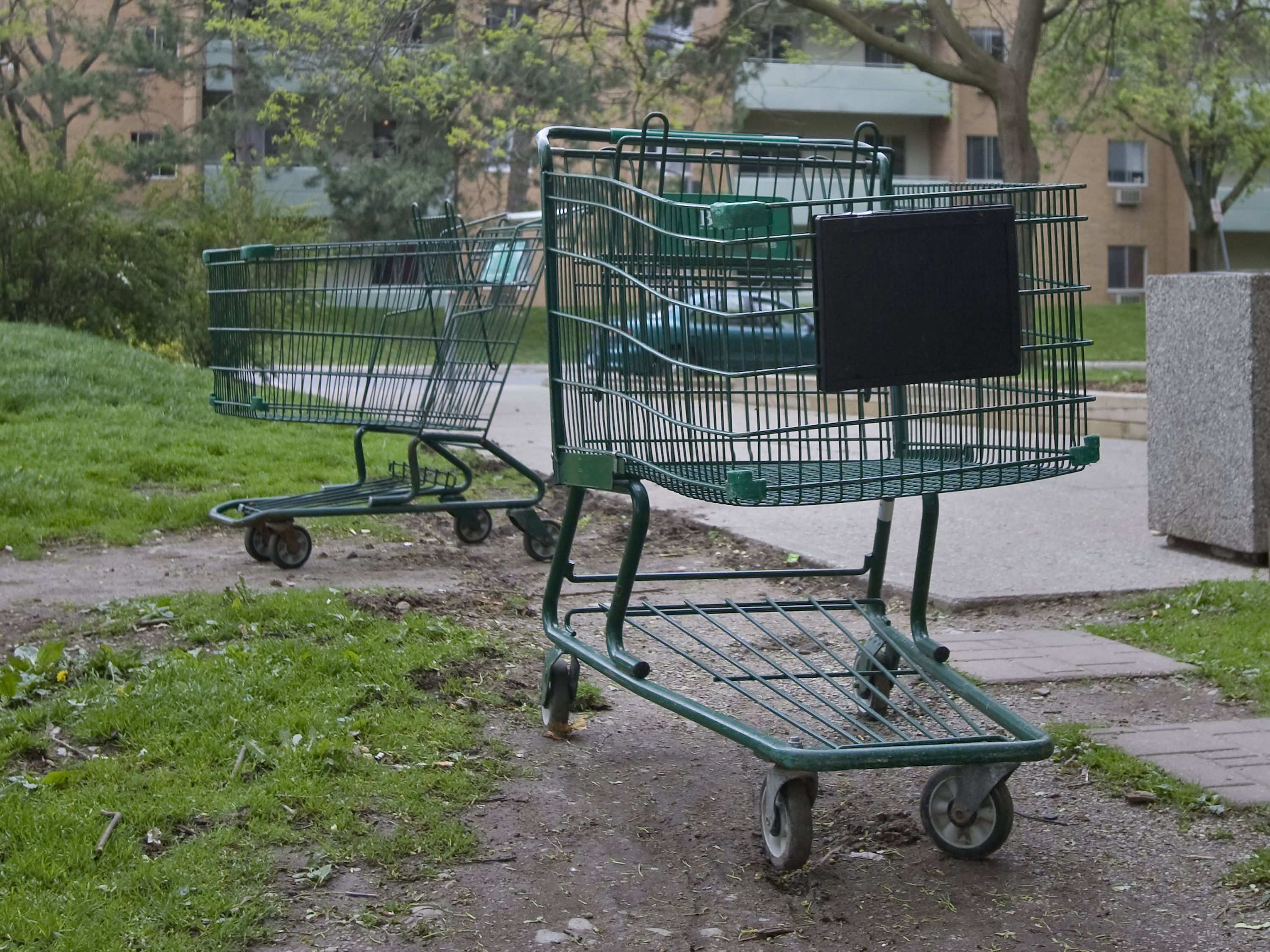 Why it's (basically) legal to steal shopping carts National Post