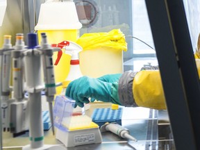 FILE - In this file photo dated Wednesday, Nov. 19, 2014, a virologist works inside the Spiez Laboratory that conducts chemical weapons tests, in Spiez, Switzerland.  Dutch authorities arrested and expelled two suspected Russian spies some months ago, for allegedly trying to hack the Spiez Laboratory, Switzerland's government confirmed Friday Sept. 14, 2018, as it summoned the Russian ambassador to protest an "attempted attack."