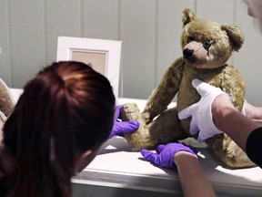 In this Thursday, Sept. 13, 2018 photo, gallery stylists position antique Winnie the Pooh bears while preparing the "Winnie-the-Pooh: Exploring a Classic" exhibit at the Museum of Fine Arts in Boston. The show opening Saturday, Sept. 22, comprises nearly 200 original drawings, letters, photographs and early editions.