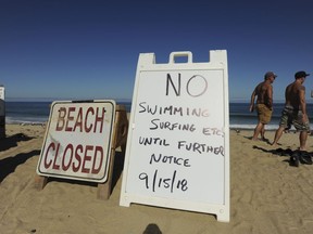 Two signs at the top of the dune at Newcomb Hollow Beach alert visitors that the beach is closed to swimming, Saturday, Sept. 15, 2018, in Wellfleet, Mass. A Revere man died after being bitten by a shark off Newcomb Hollow Beach on Saturday.