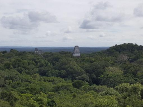 As Anne Lindbergh flew across the Yucatan Peninsula with her husband Charles, she noticed a bright grey wall peeking  out of the lush, green vegetation. Later, she chronicled the observation in her journal as something reminiscent of an ancient 'great civilization long gone.'